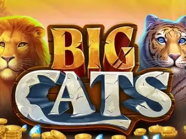 Spinanga Casino screenshot